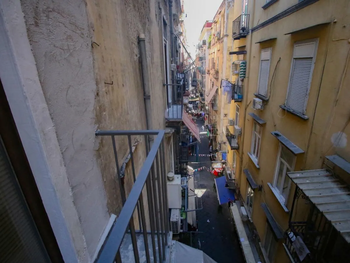 B&B Pisadog Naples