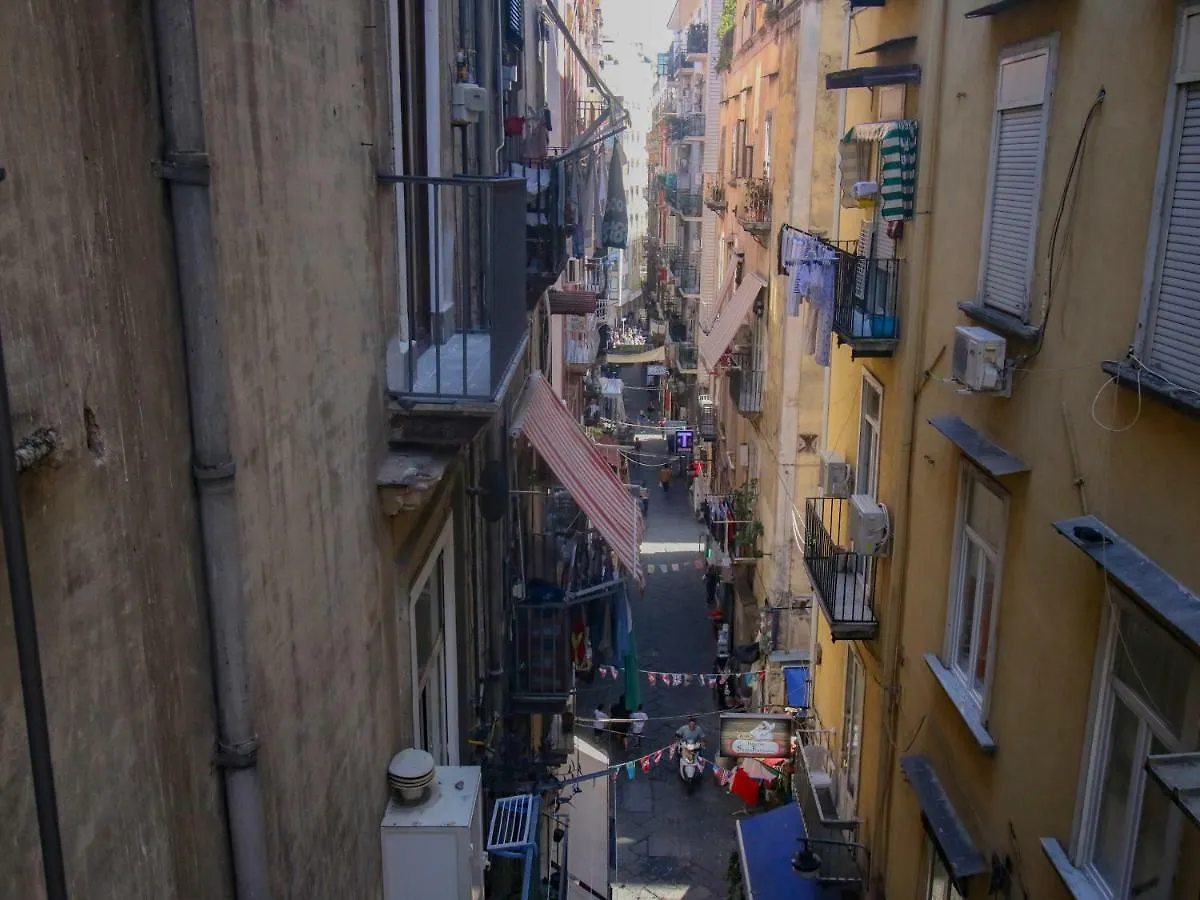 B&B Pisadog Naples 2*,